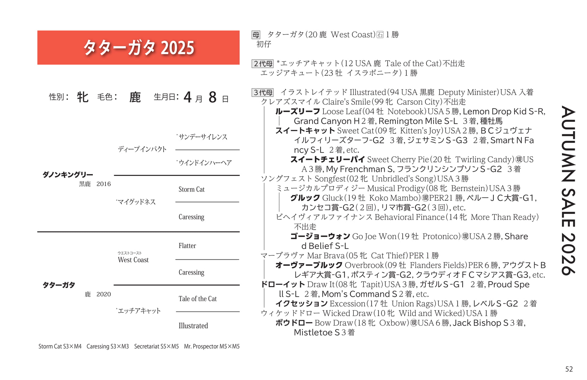 タターガタ 2025(53ページ目)