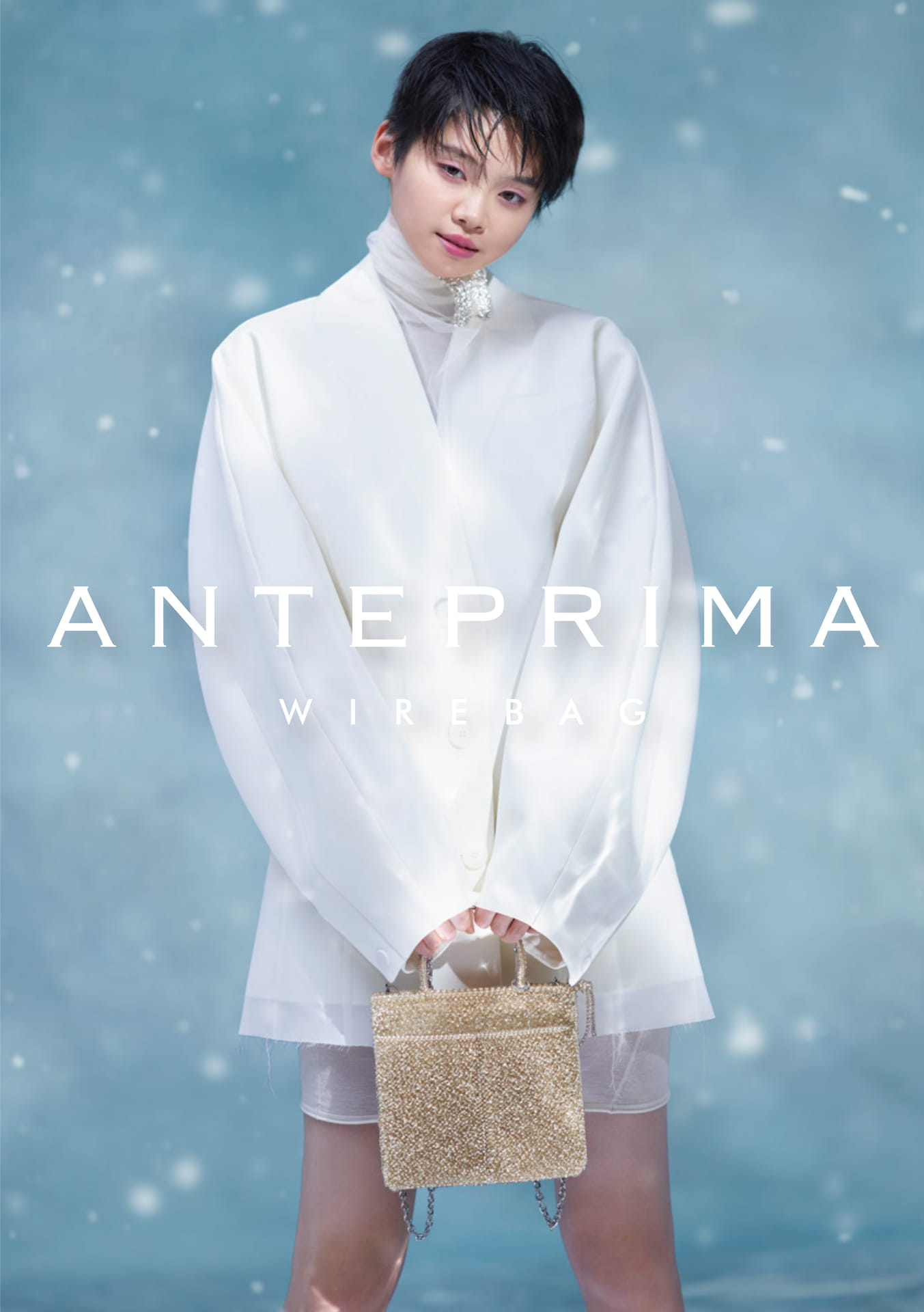 ANTEPRIMA WIREBAG(1ページ目)