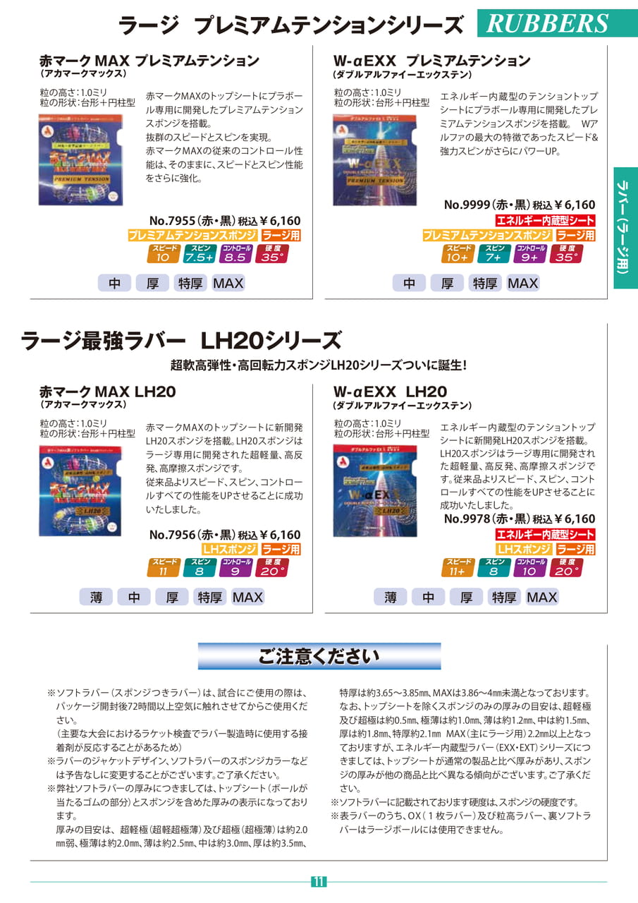 Page 11(11ページ目)