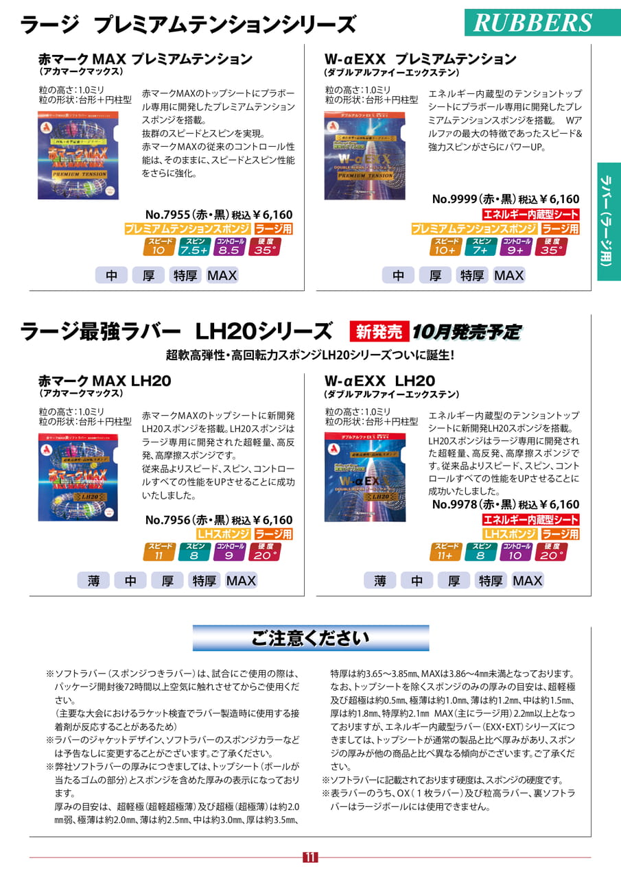 Page 11（11ページ目）