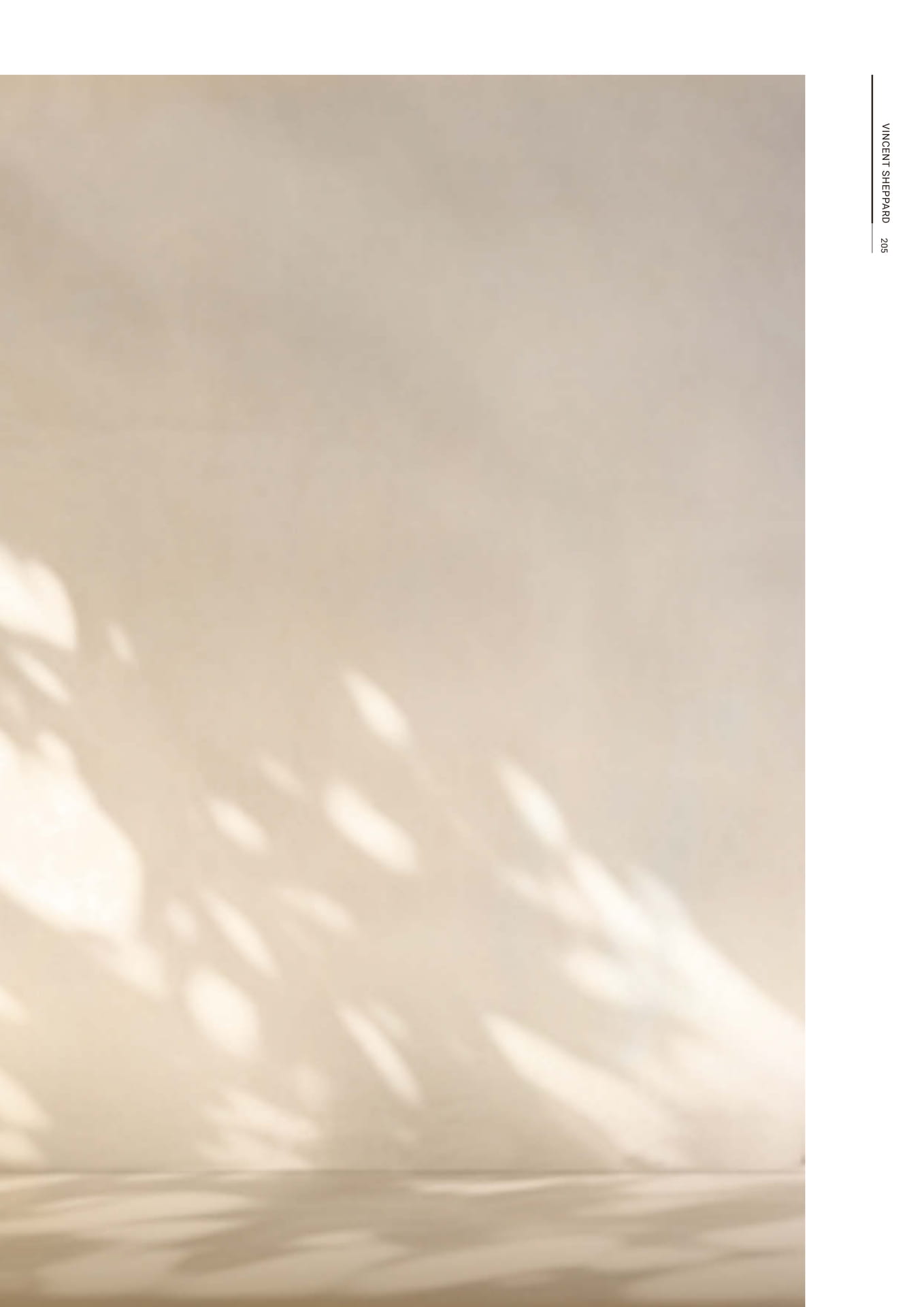 Page 207（207ページ目）