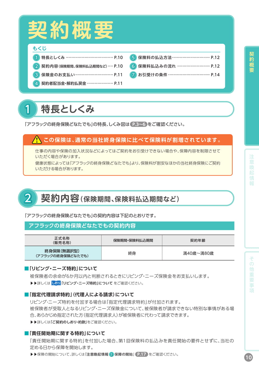 Page 11(11ページ目)