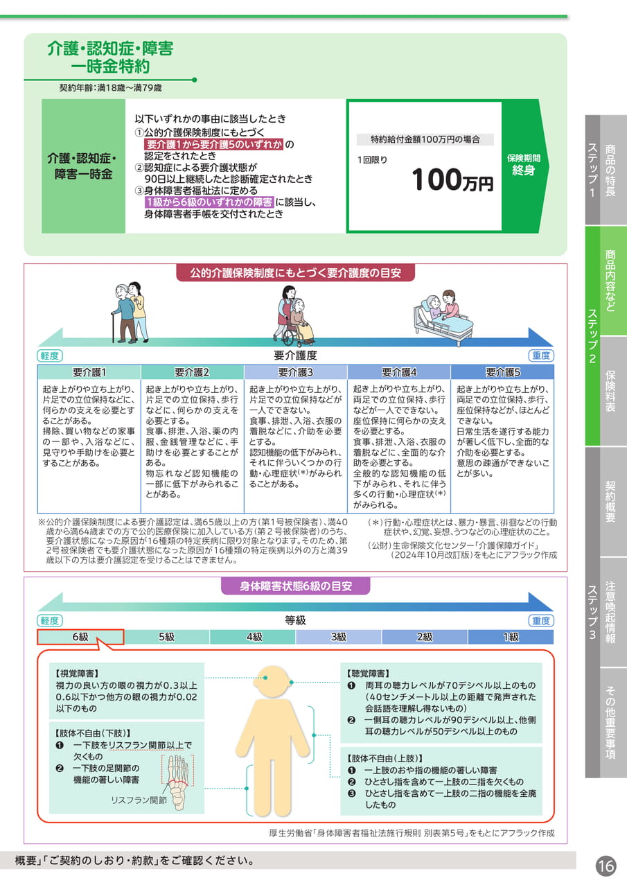 介護・認知症・障害一時金特約(17ページ目)