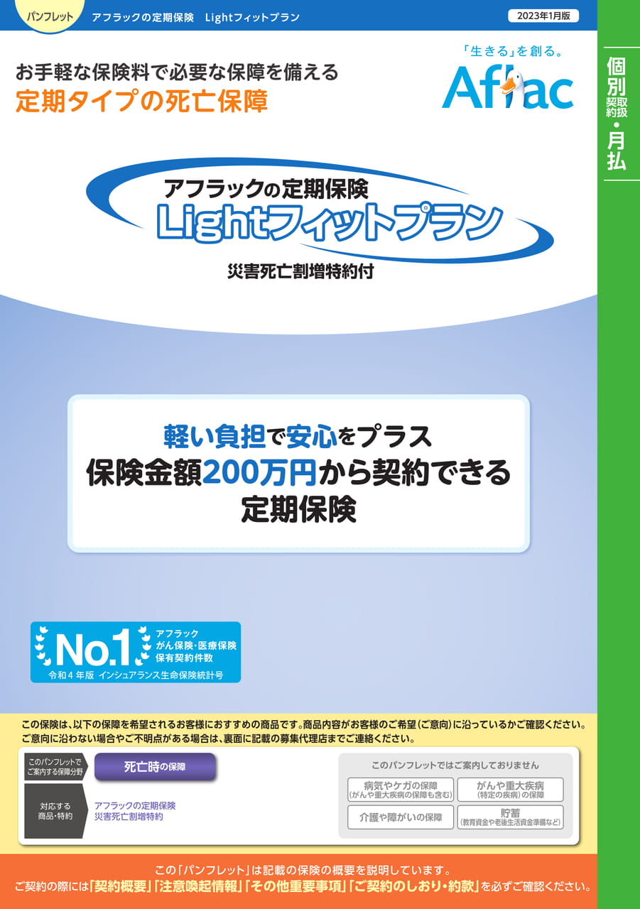 Page 1（1ページ目）
