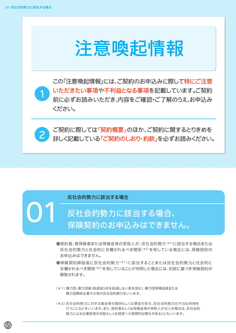 Page 66（66ページ目）