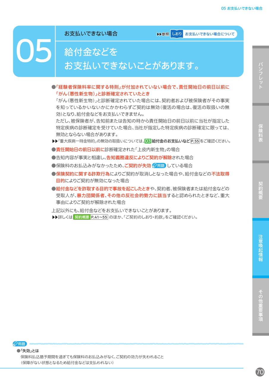Page 71（71ページ目）
