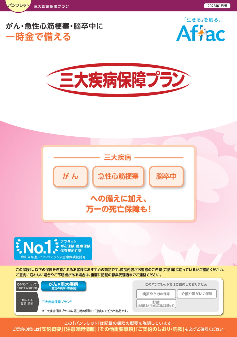 Page 1（1ページ目）