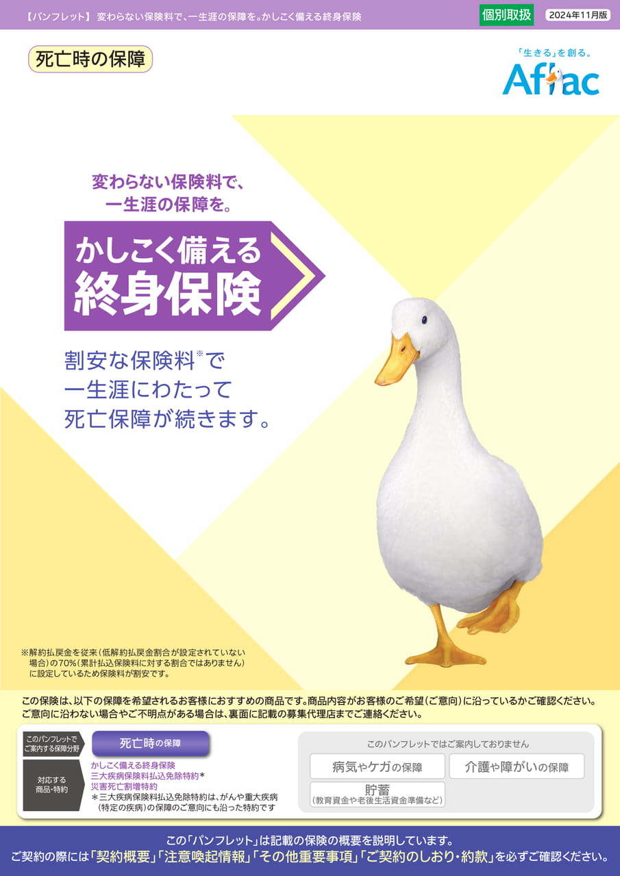 Page 1（1ページ目）
