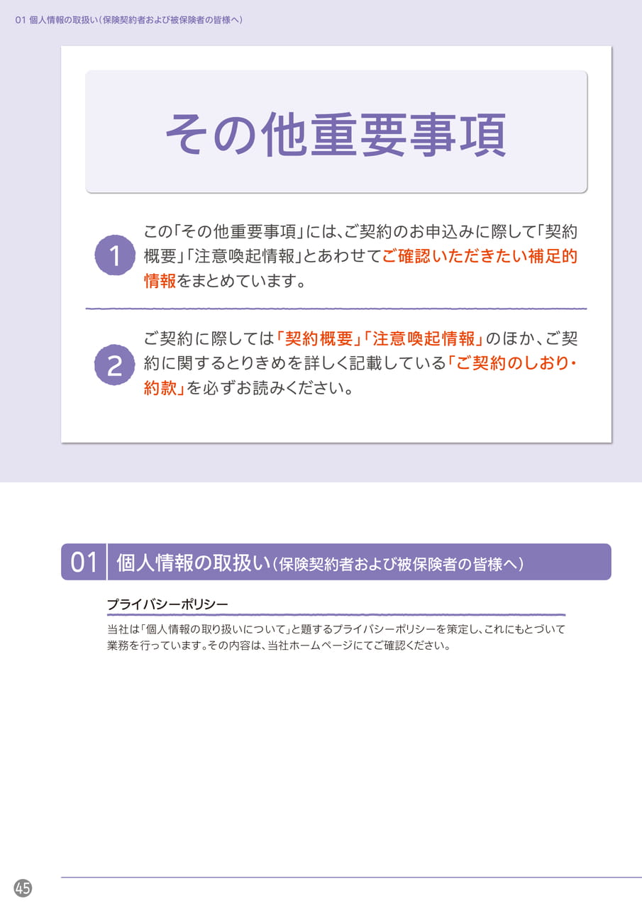 Page 46(46ページ目)