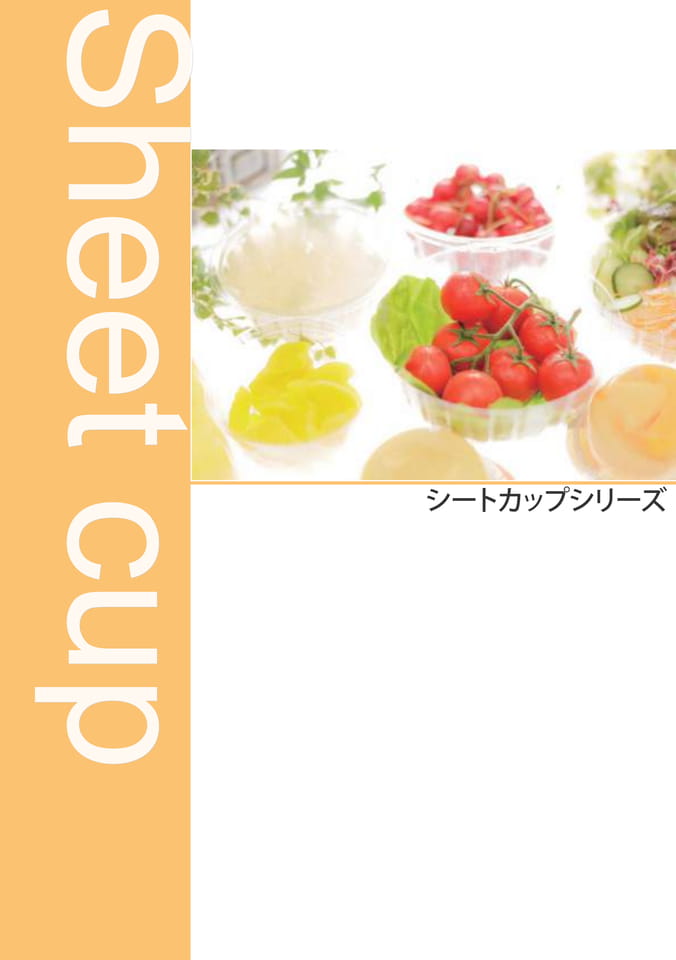 Page 15（15ページ目）