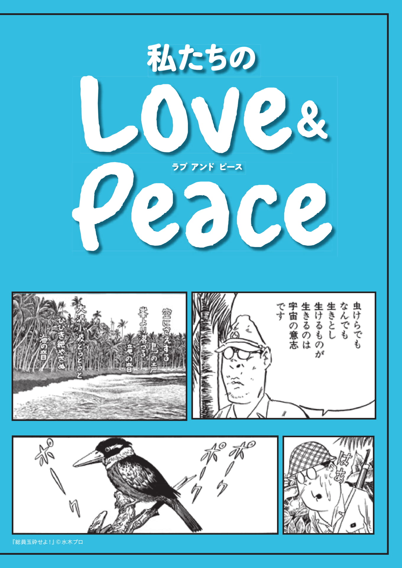 Page 12(12ページ目)