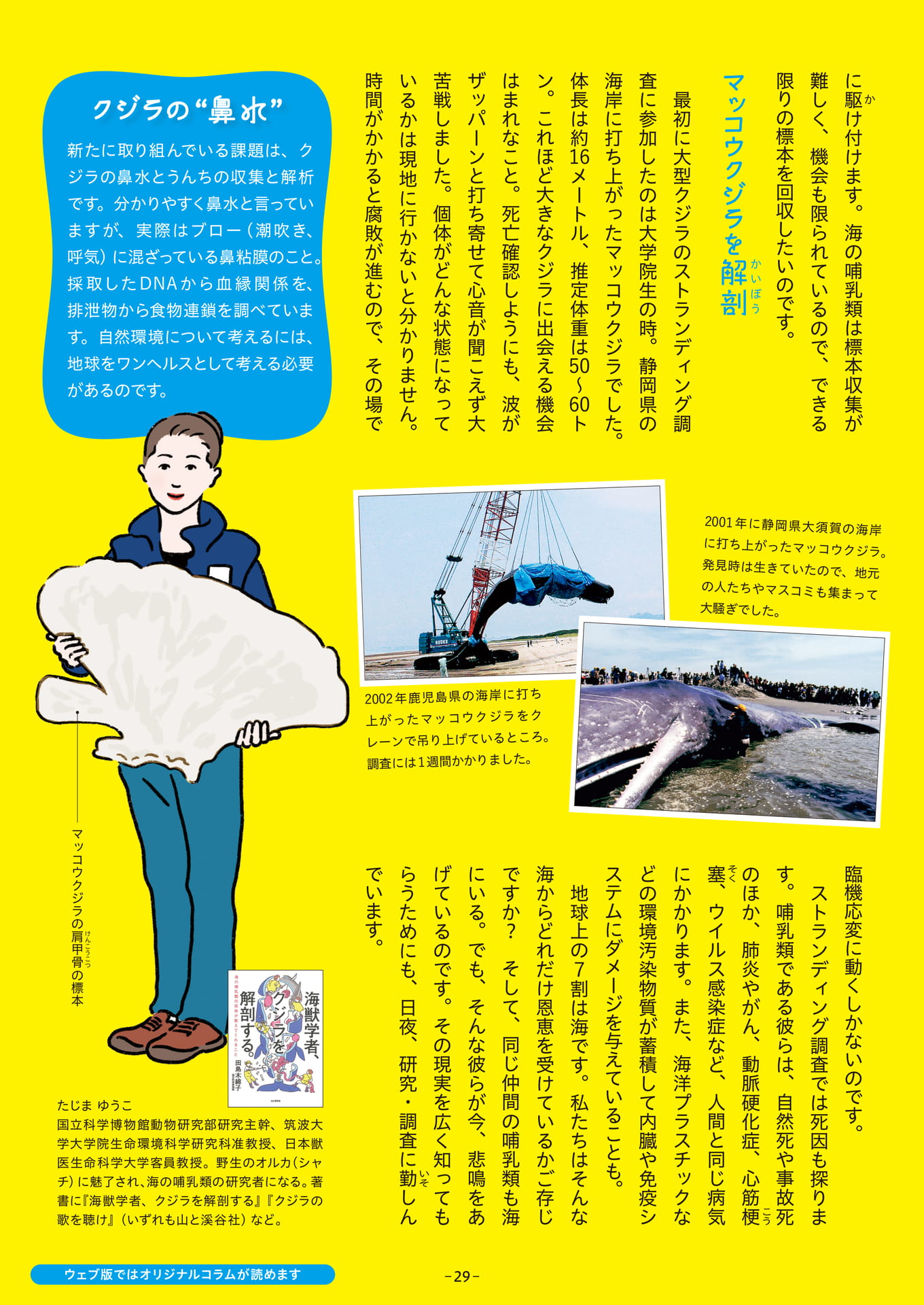 Page 29(29ページ目)
