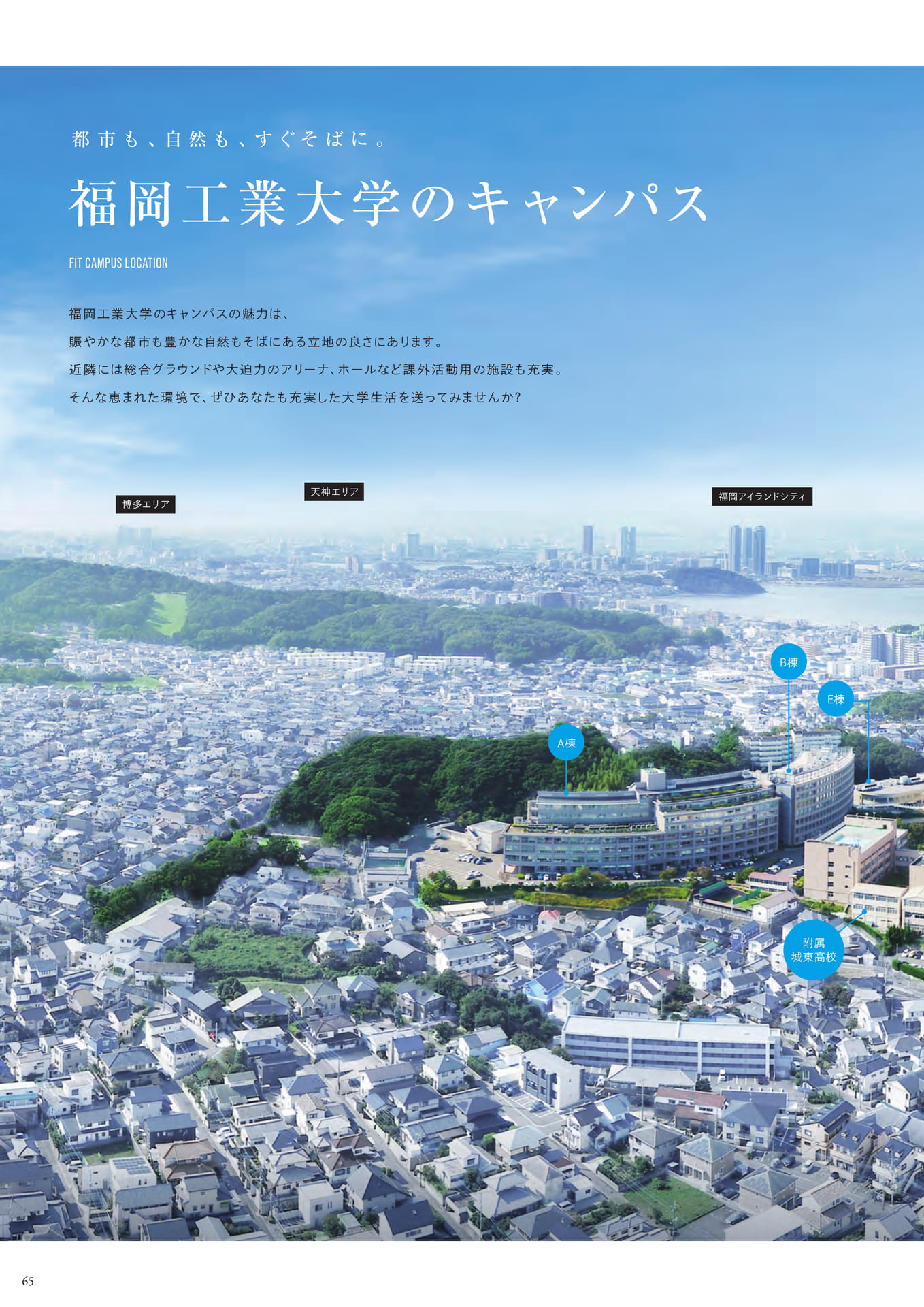 Page 66(66ページ目)