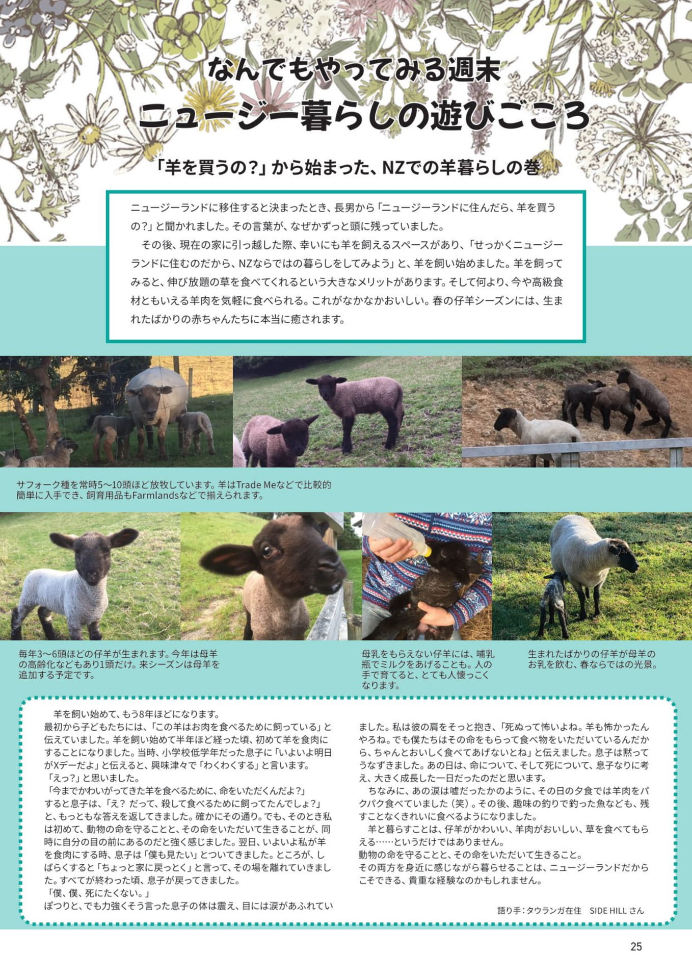 ページ（25ページ目）