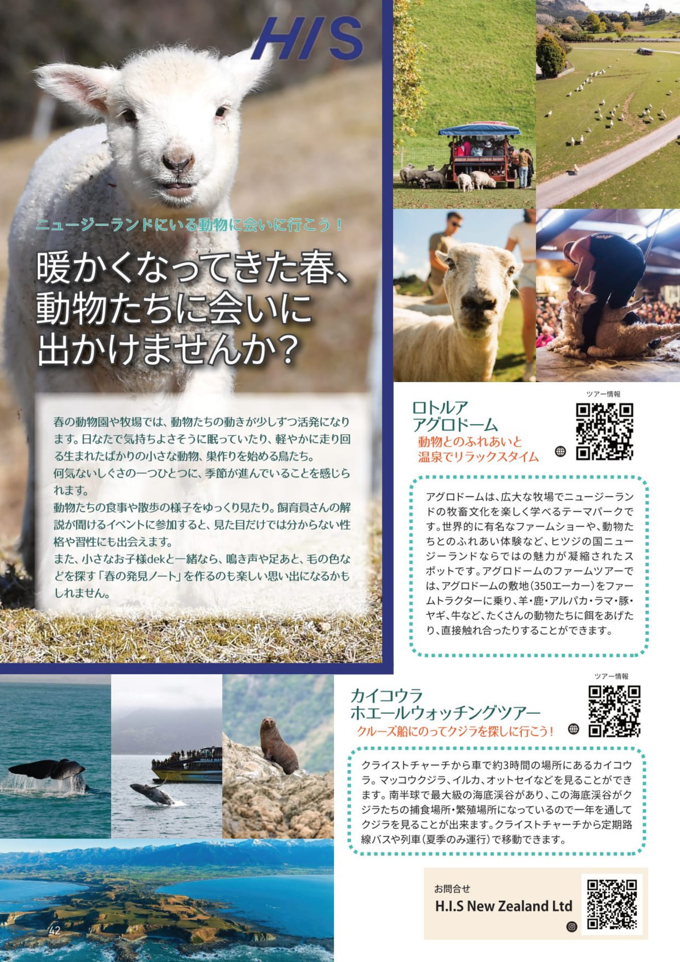 ページ（42ページ目）