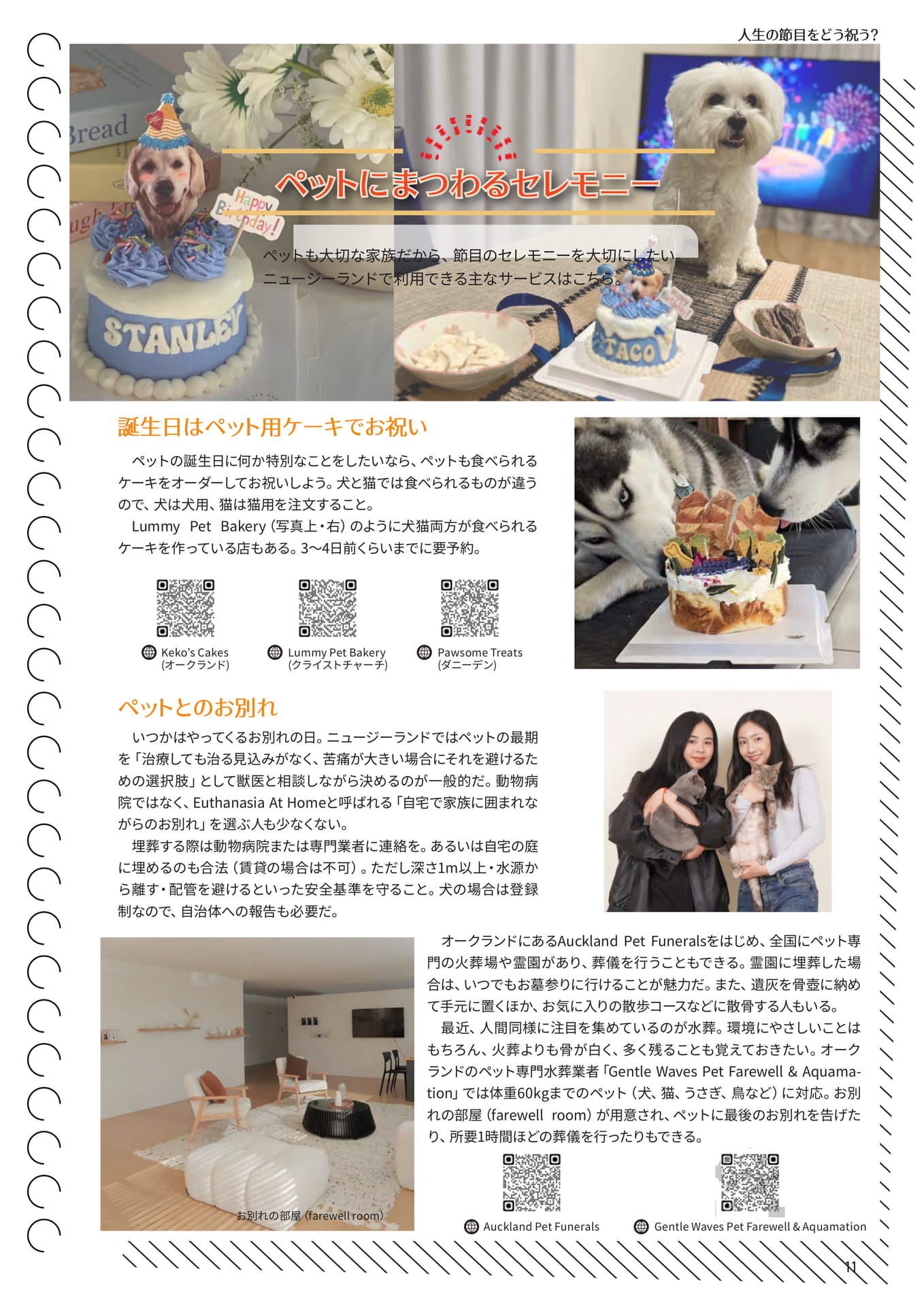 Page 11(11ページ目)