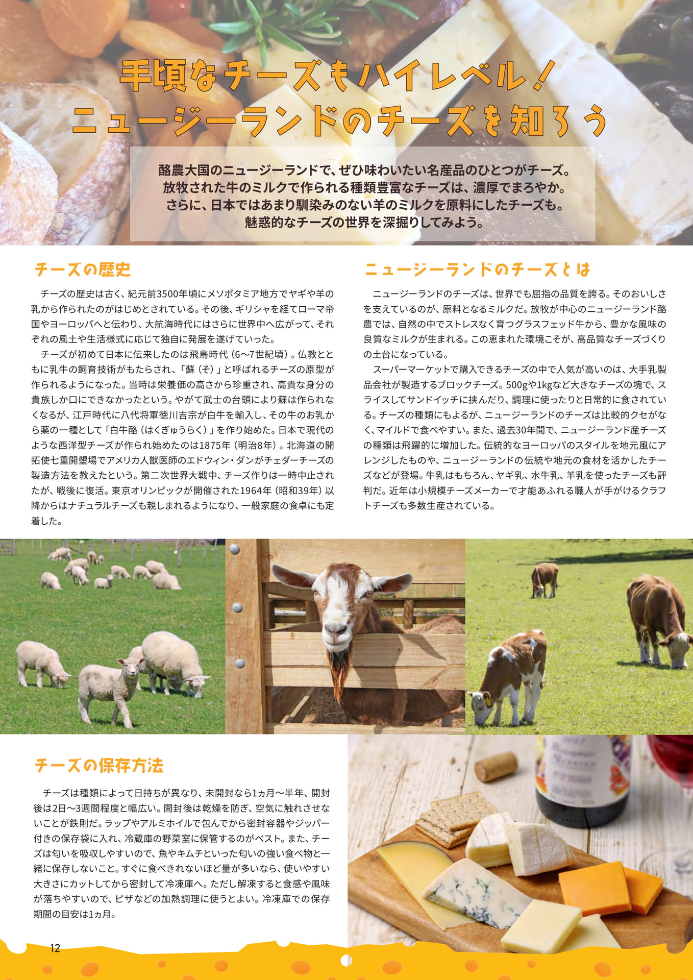 Page 12(12ページ目)