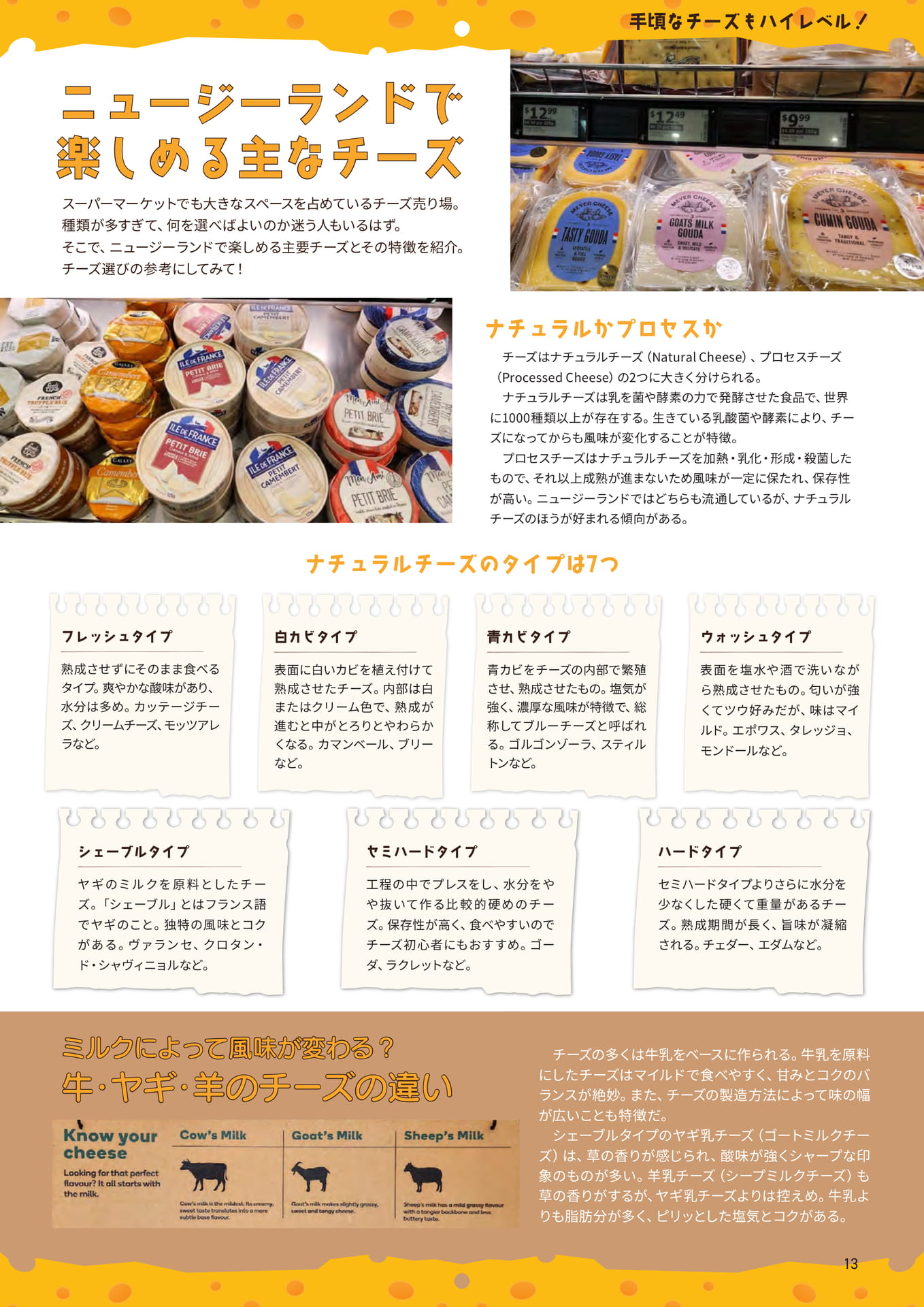 Page 13(13ページ目)