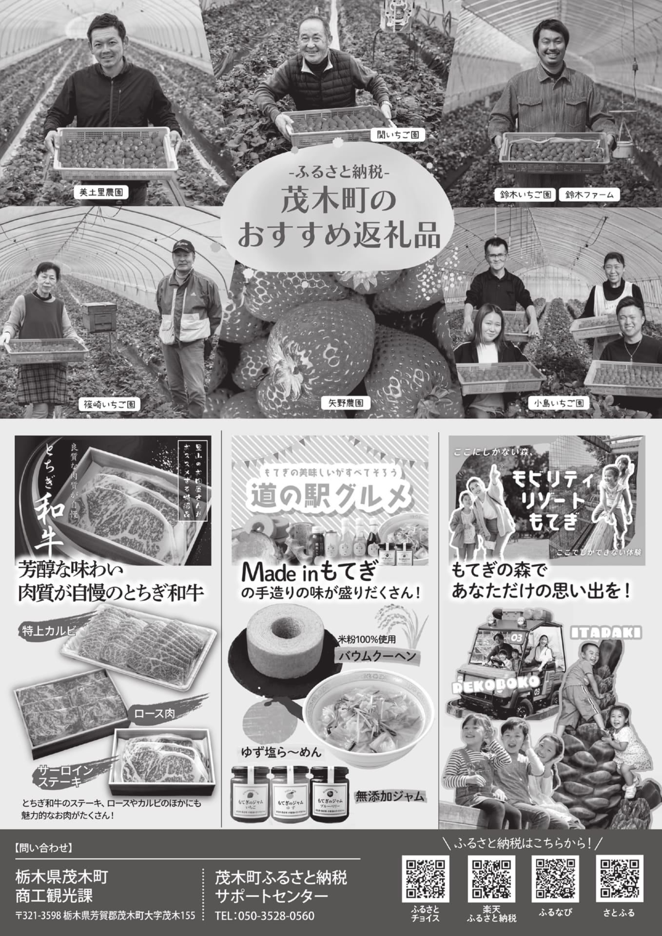 茂木町のおすすめ返礼品（11ページ目）