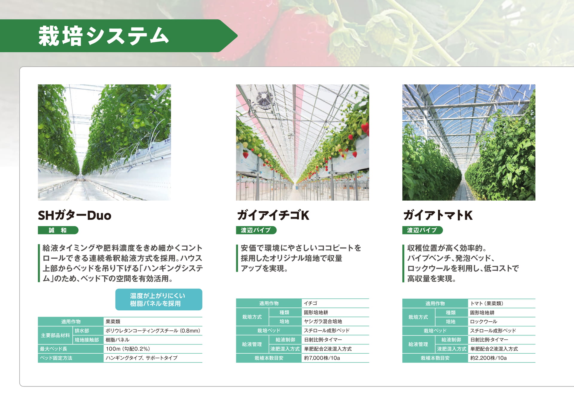 Page 16（16ページ目）