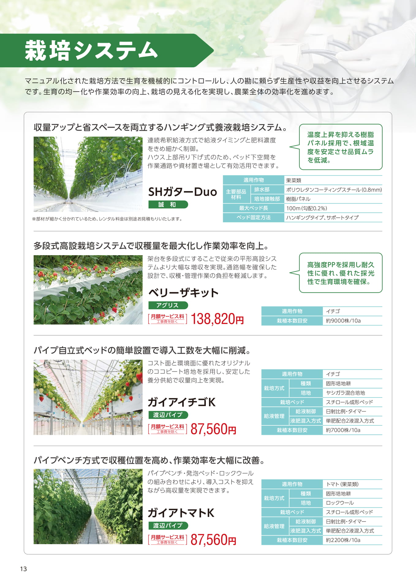 Page 14（14ページ目）