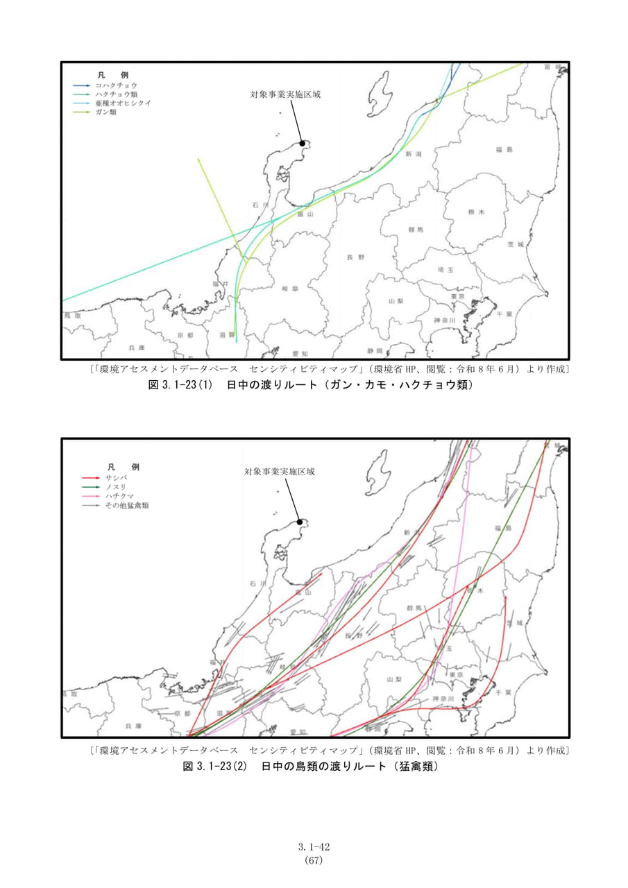 日中の鳥類の渡りルート（74ページ目）