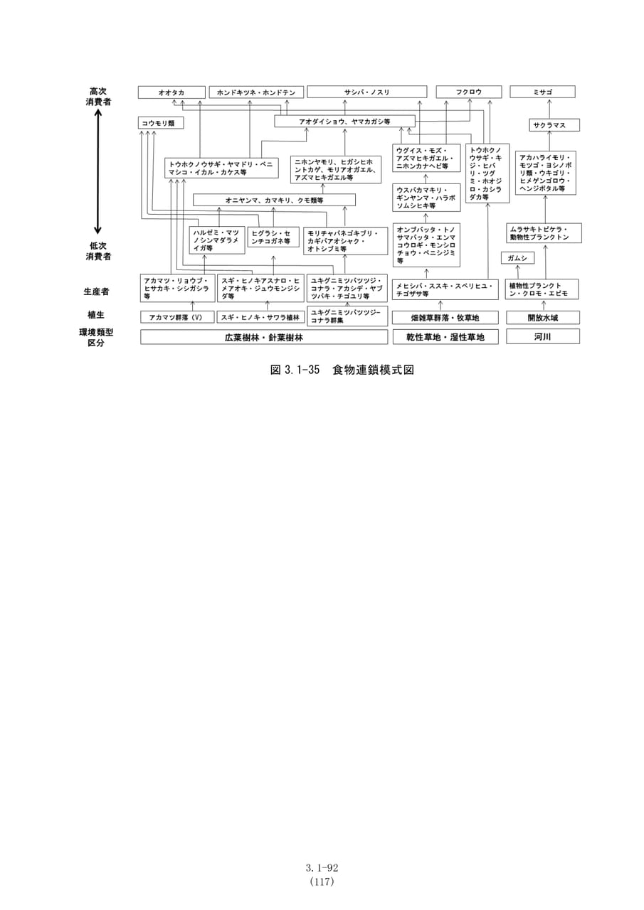 食物連鎖模式図（124ページ目）