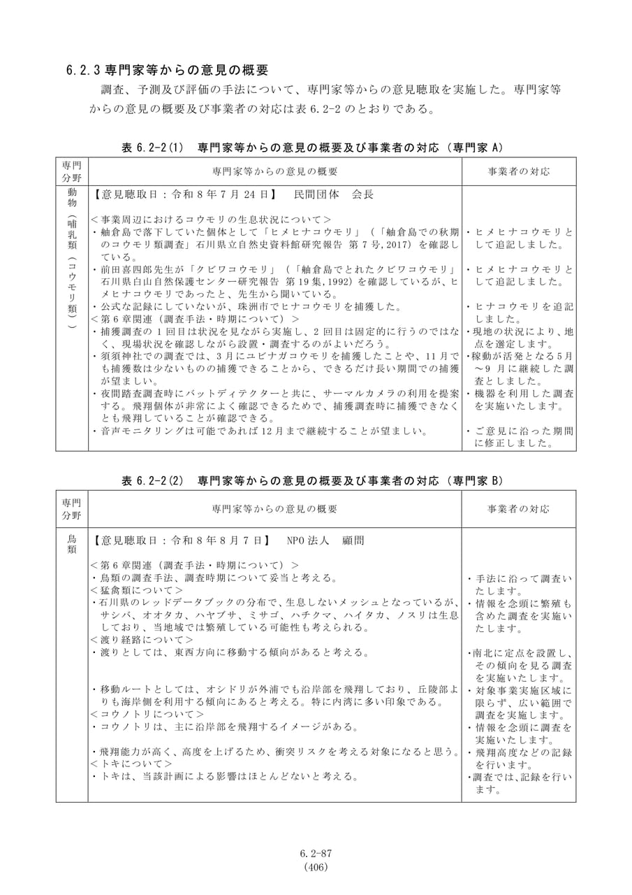 専門家等からの意見の概要（413ページ目）