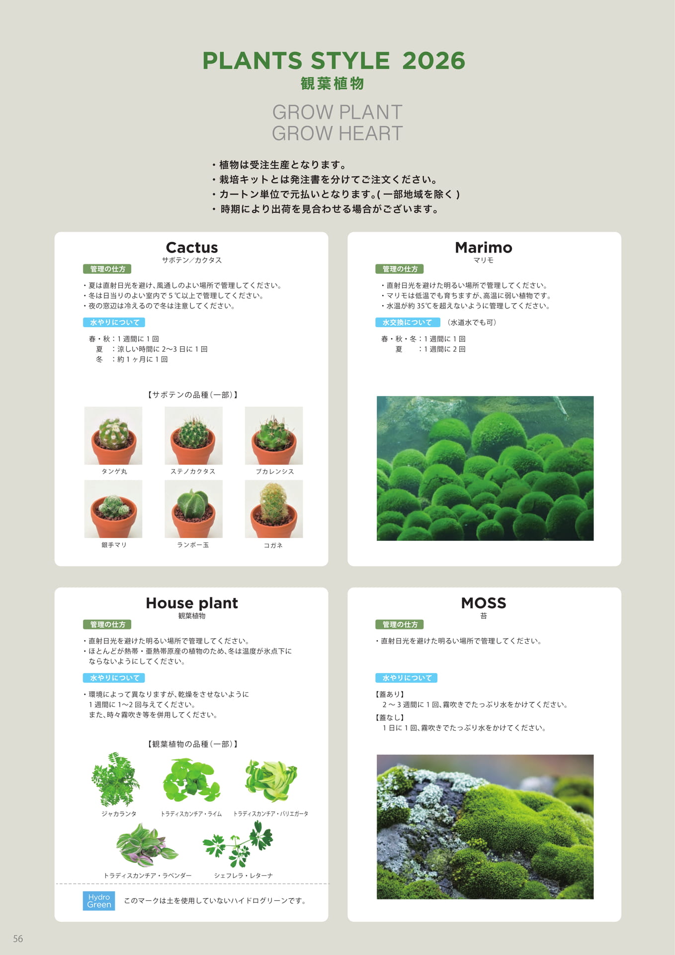 Page 58（58ページ目）