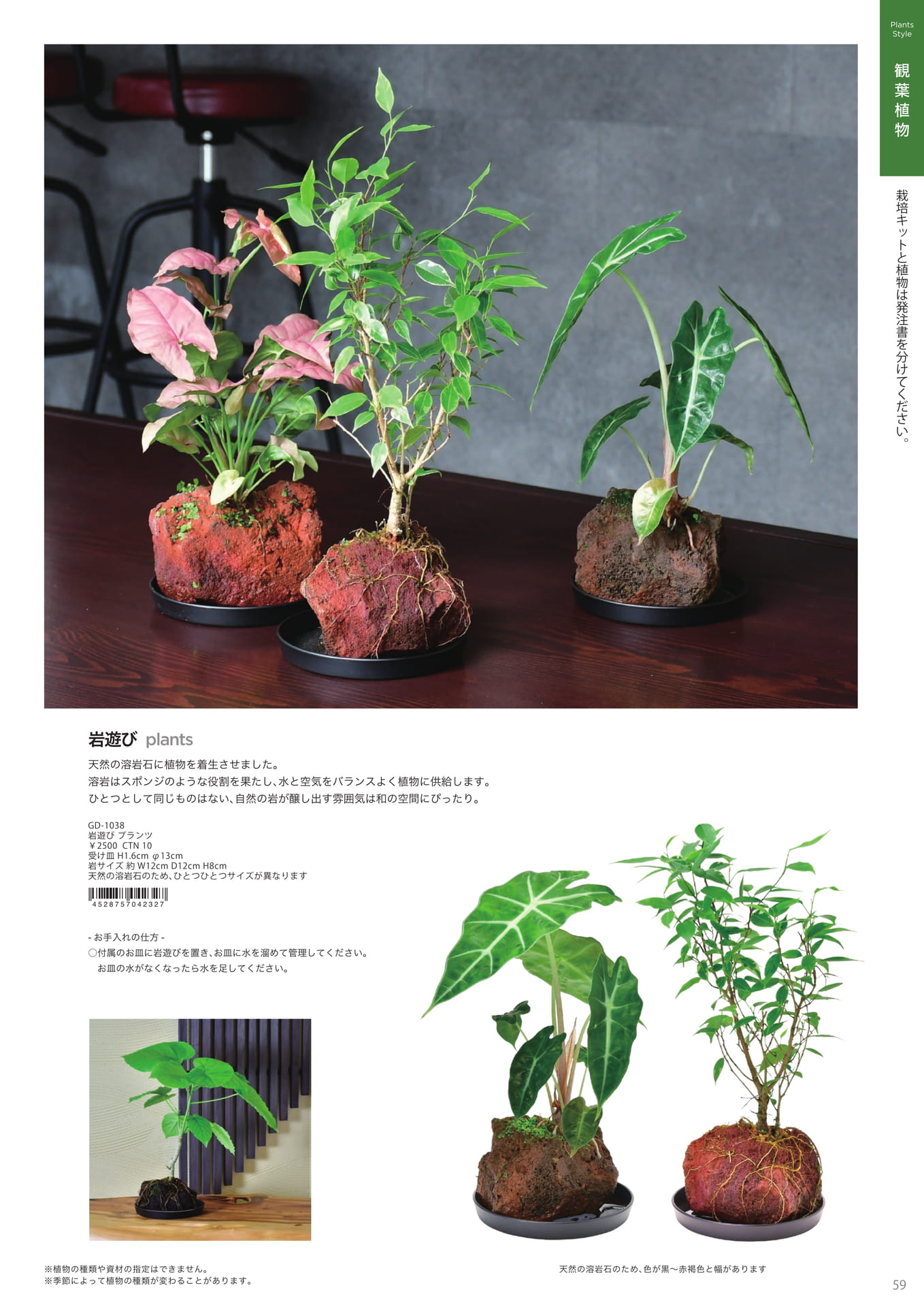 Page 61（61ページ目）