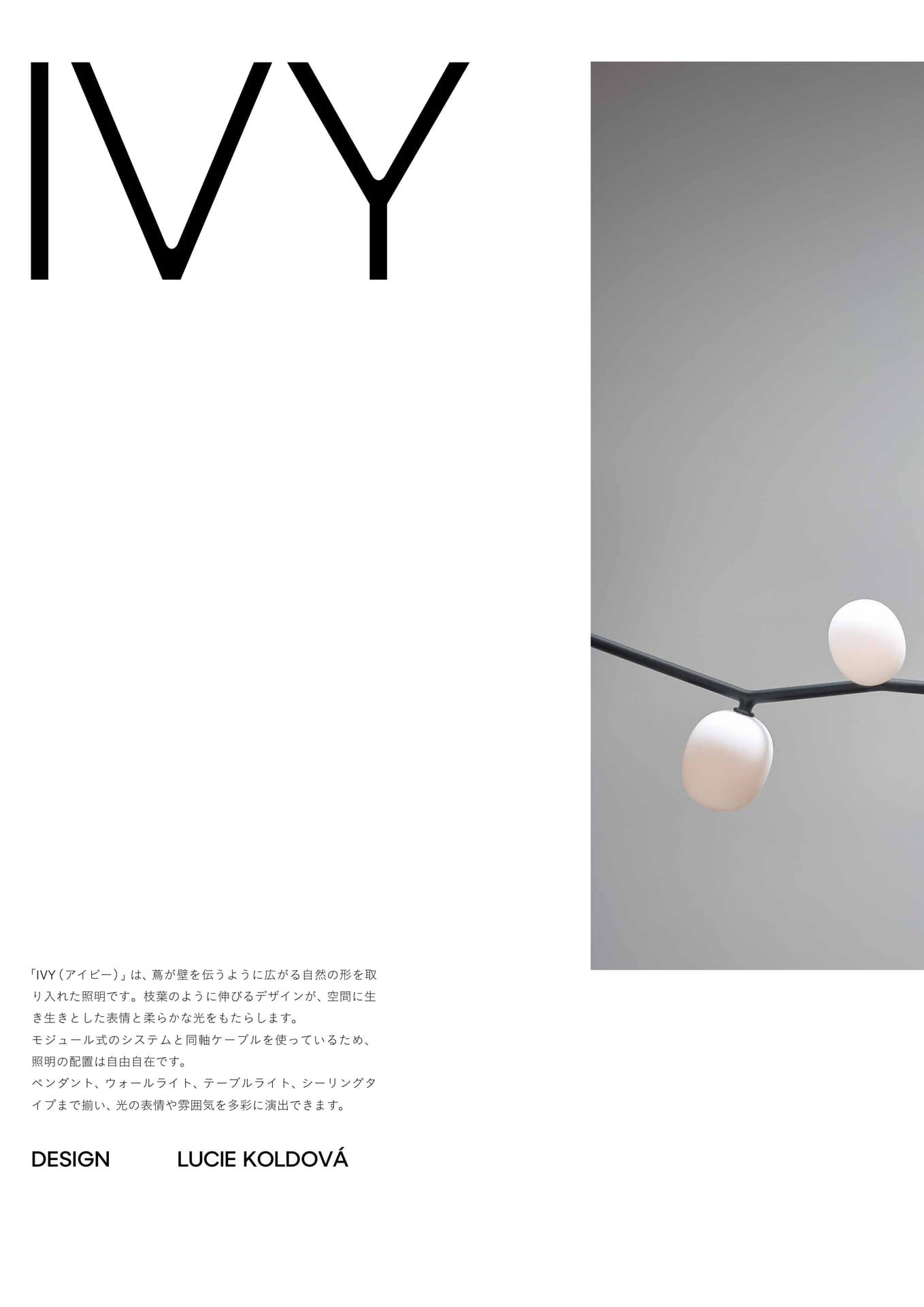 IVY-1(30ページ目)