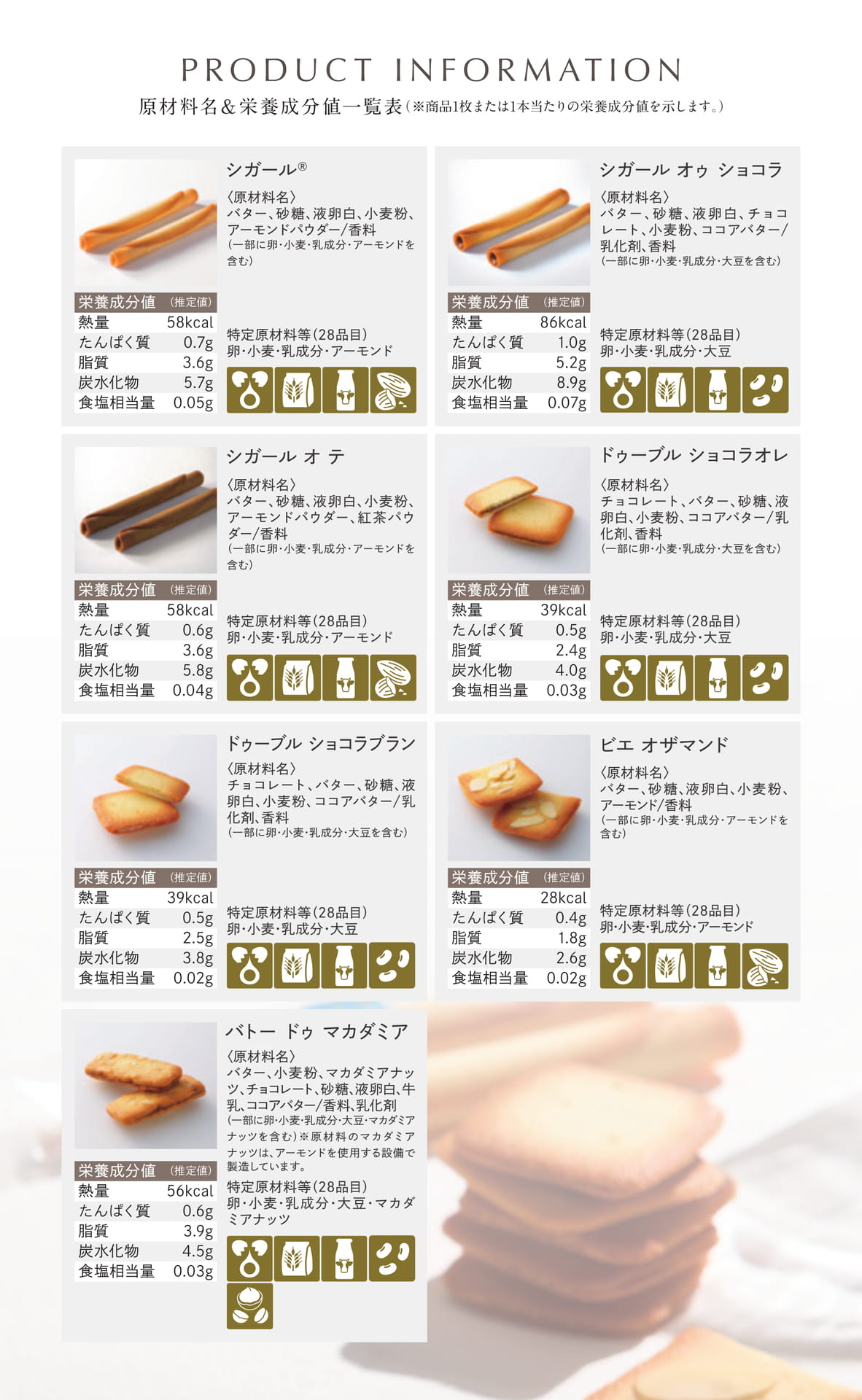 Page 12（12ページ目）