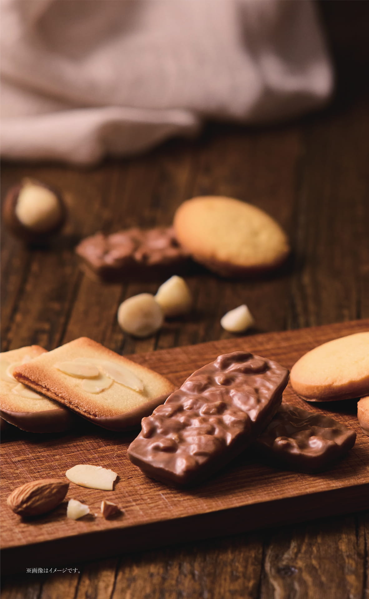 ページ（2ページ目）