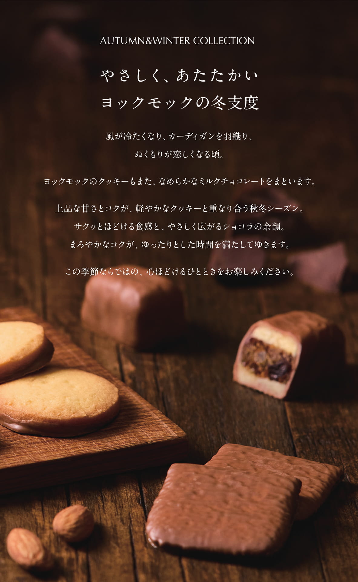 ページ（3ページ目）