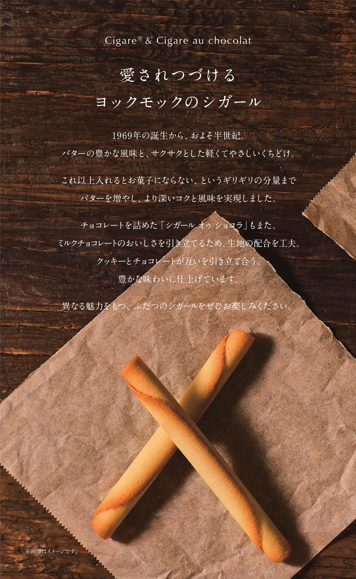 ページ（4ページ目）