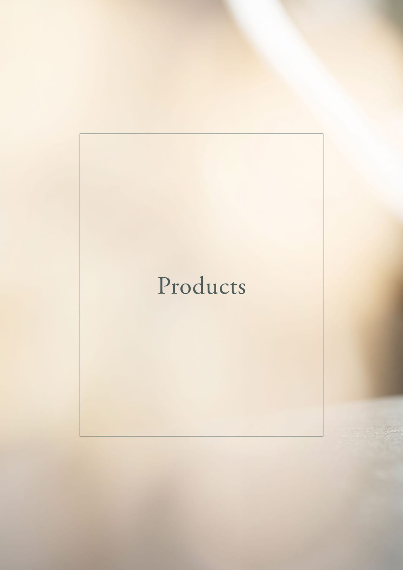 Products（8ページ目）