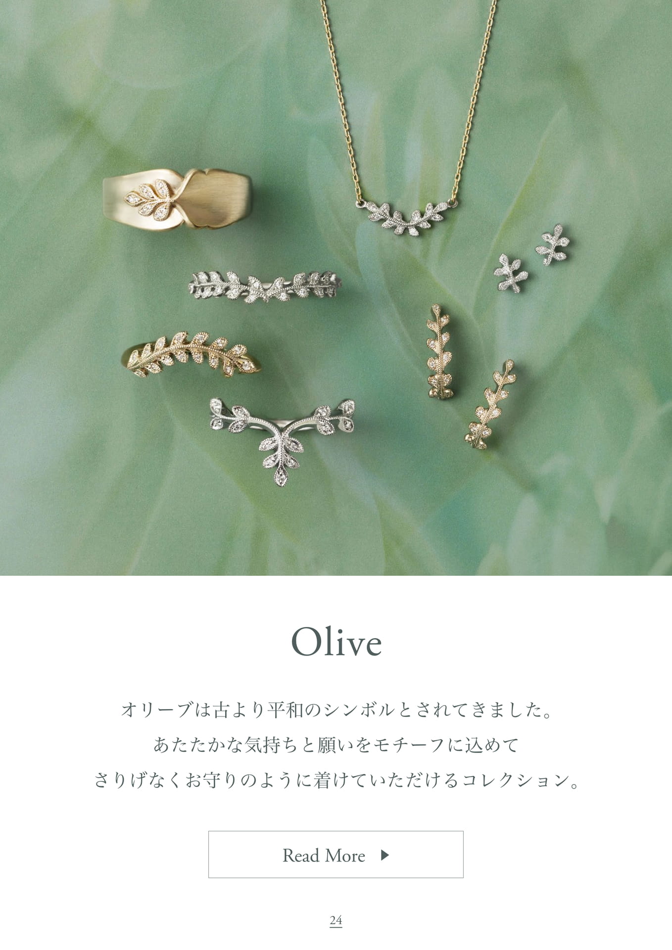 Products / Olive（24ページ目）