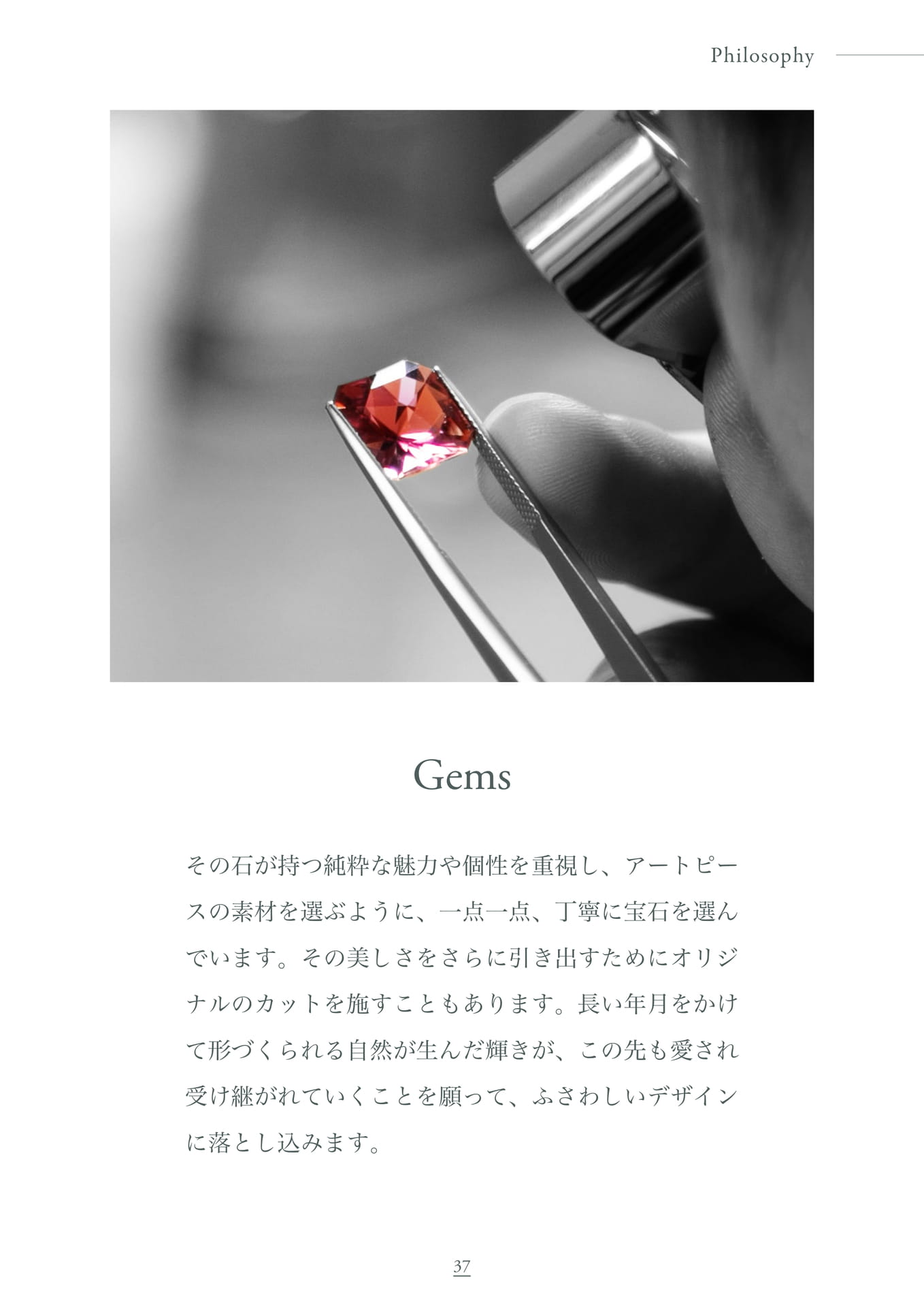 Philosophy / Material (Gems)（37ページ目）