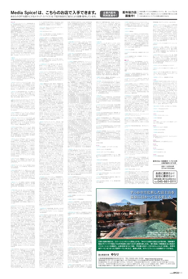 Page 11（11ページ目）