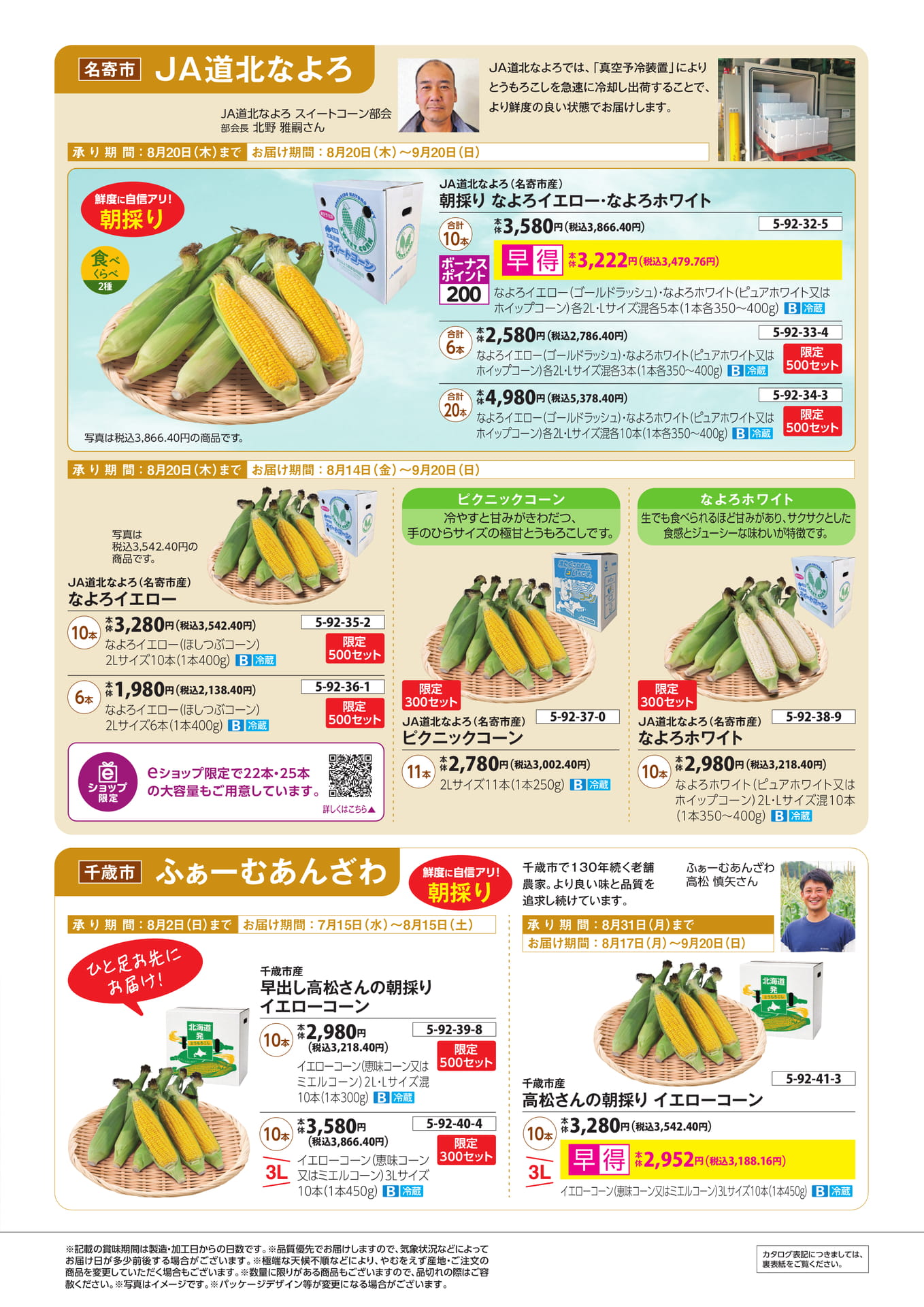 Page 3（3ページ目）