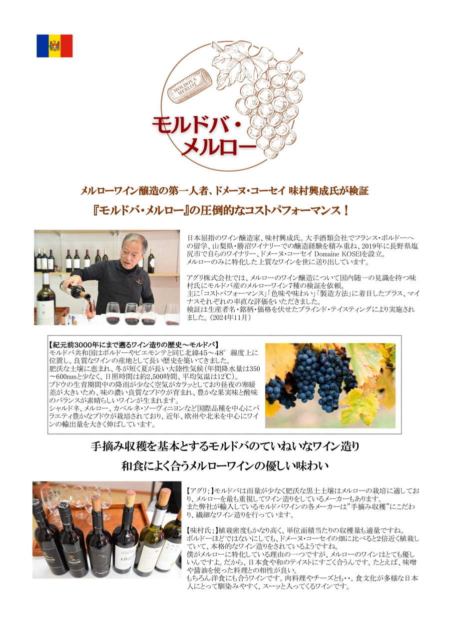 Page 1（1ページ目）