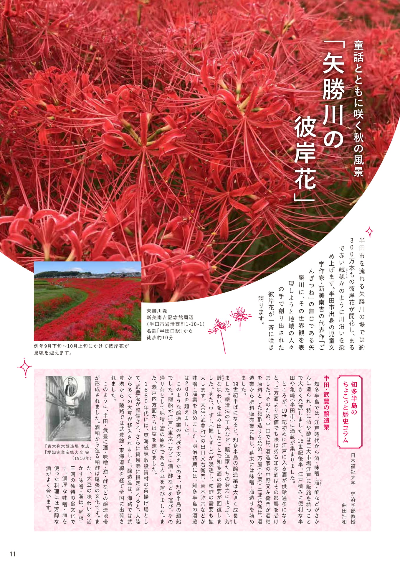 Page 11（11ページ目）