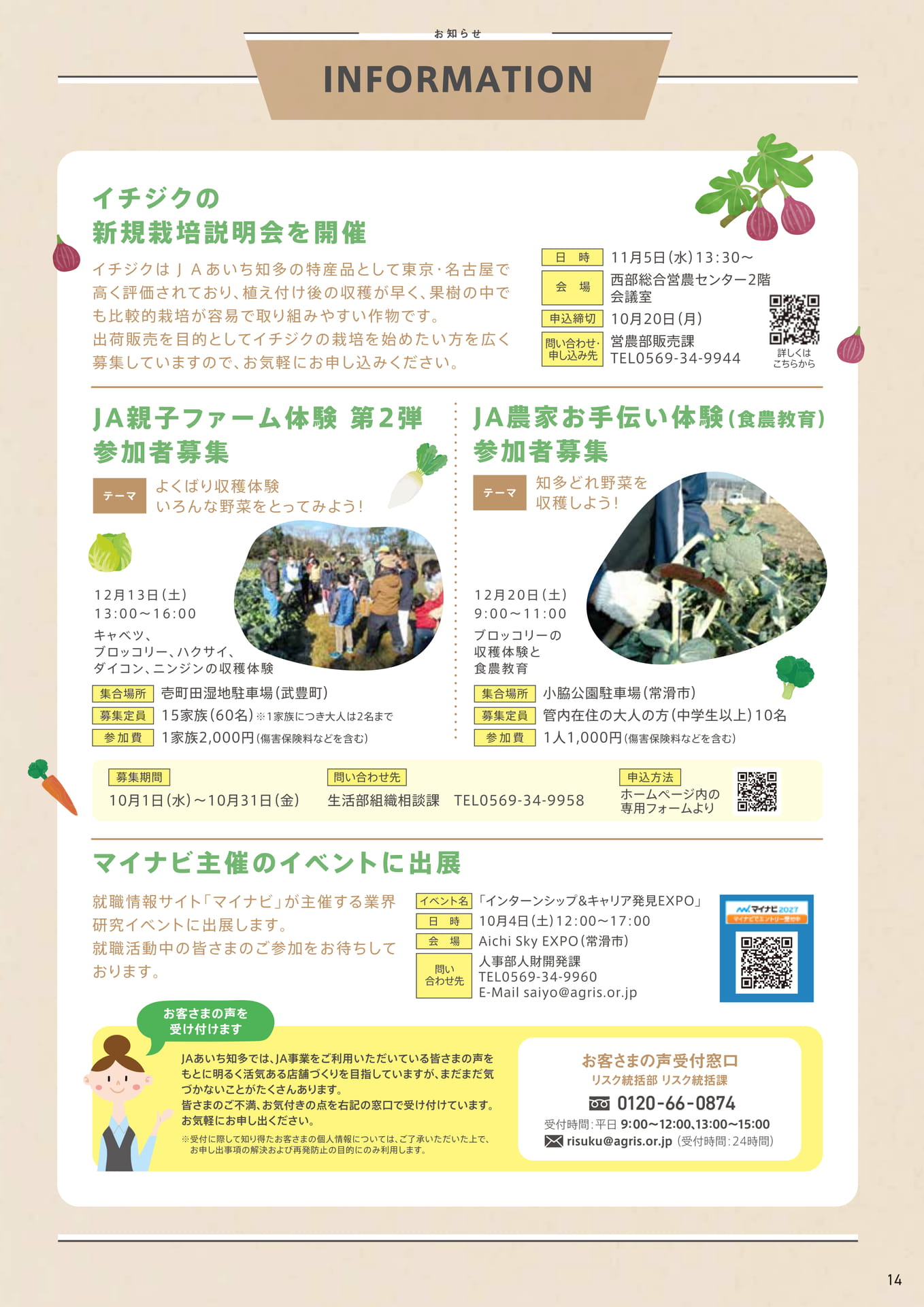 Page 14（14ページ目）