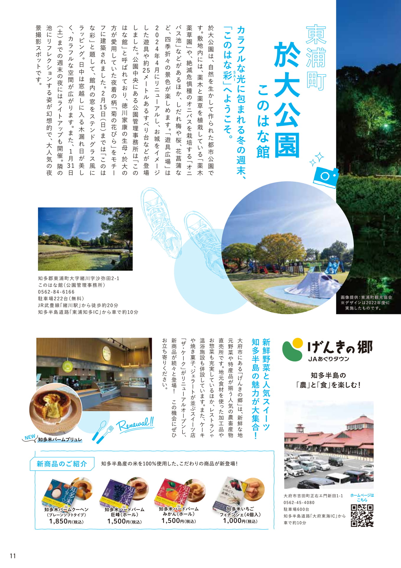 Page 11（11ページ目）