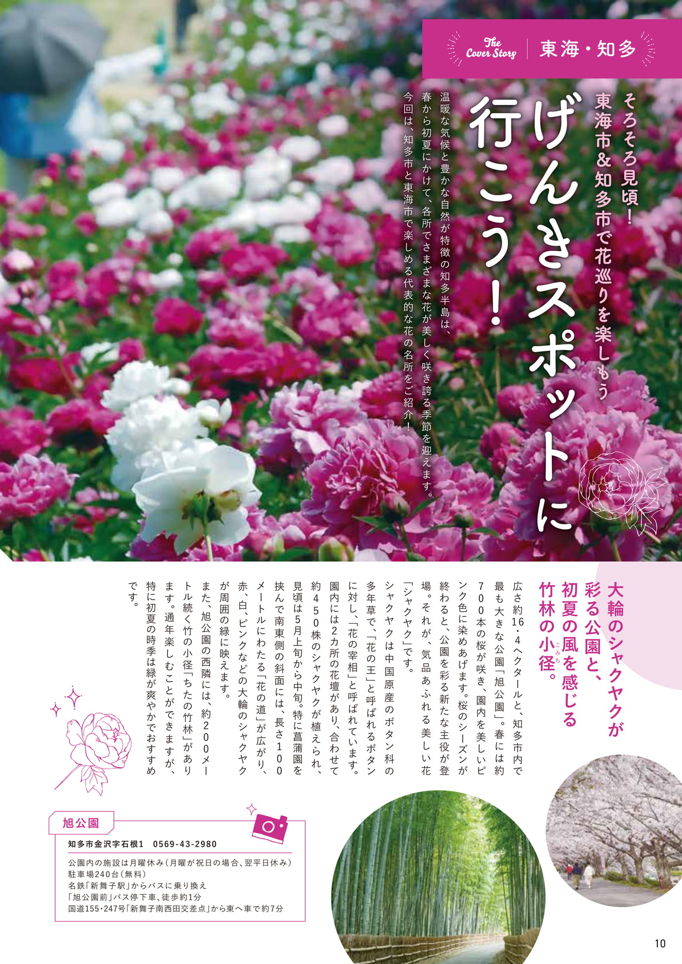 Page 10(10ページ目)