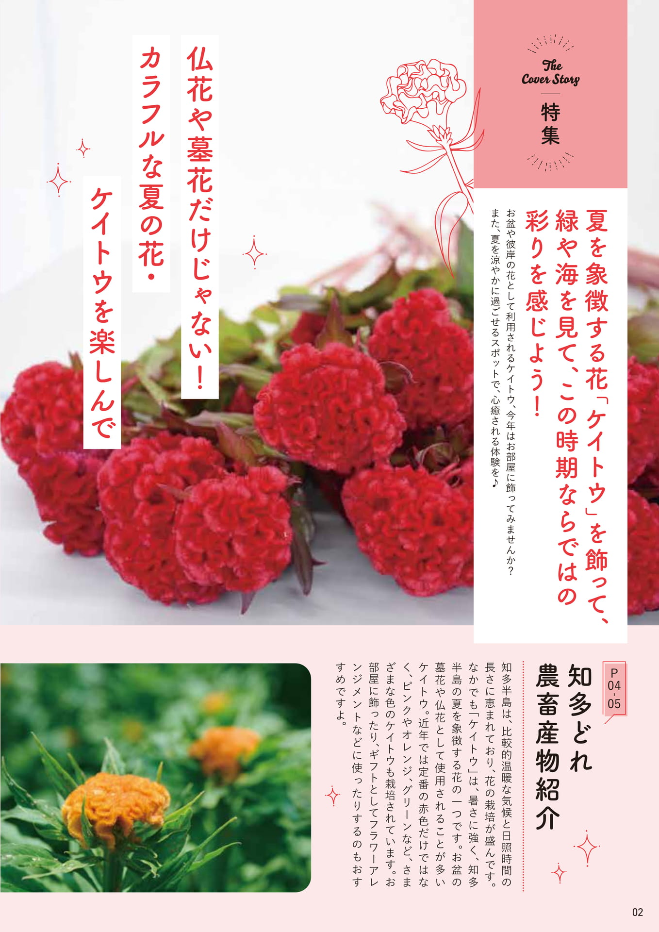 Page 02（2ページ目）