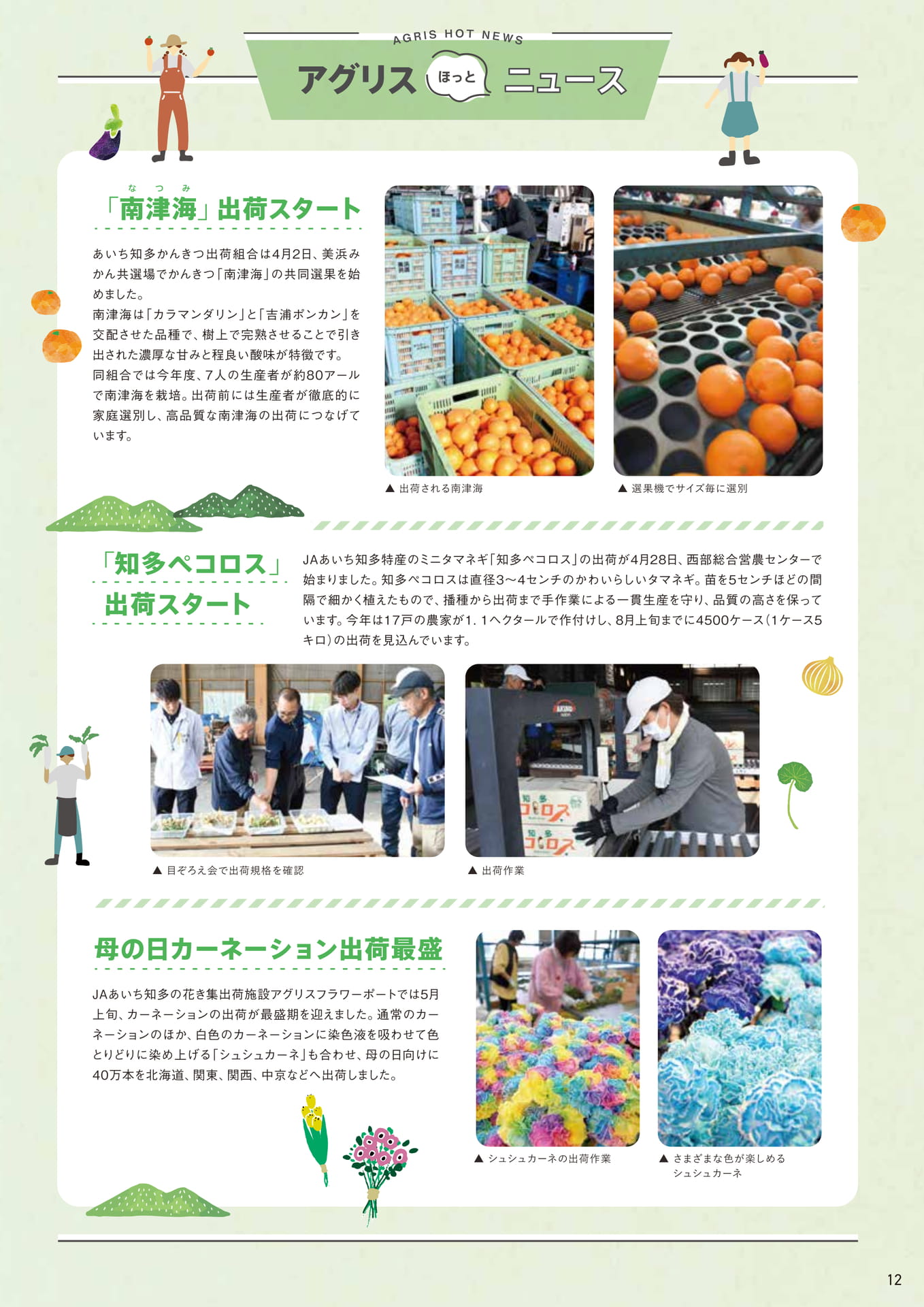 Page 12（12ページ目）