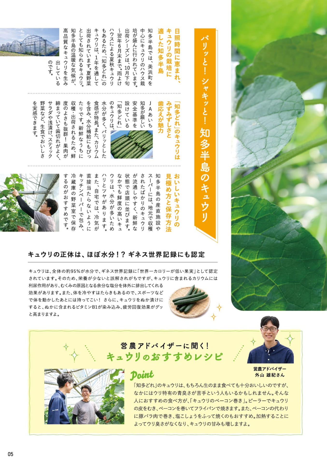 ページ（5ページ目）