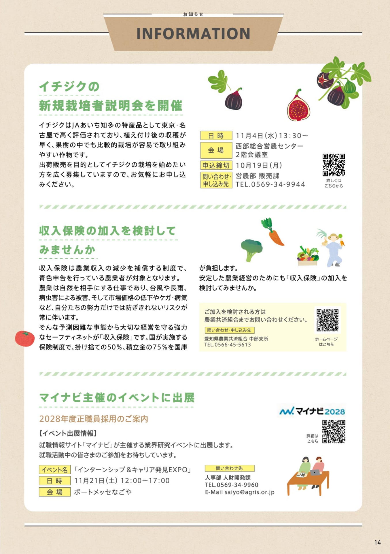 ページ（14ページ目）