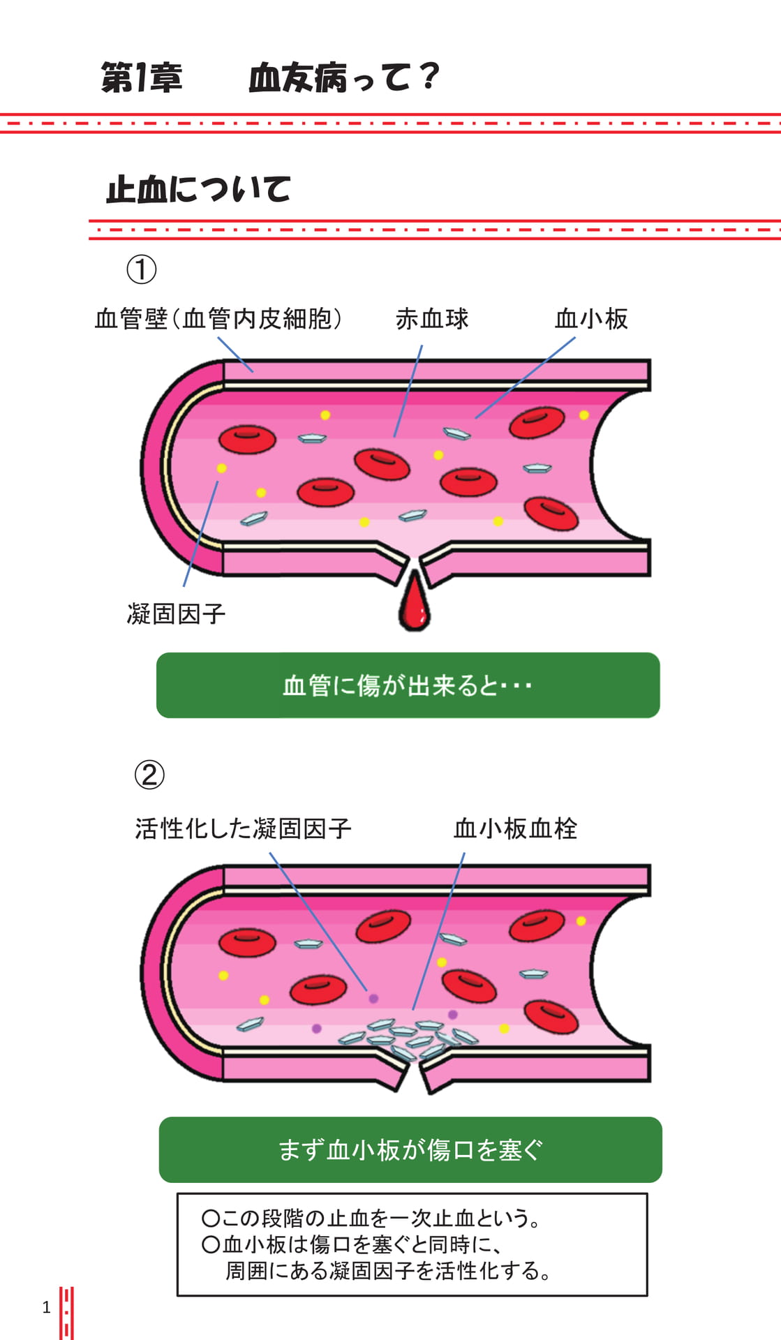 第1章 血友病って?(6ページ目)